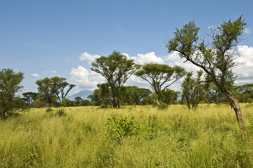 Omo National Park